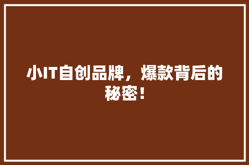 小IT自创品牌，爆款背后的秘密！ 必应SEO