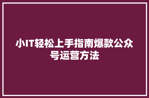 小IT轻松上手指南爆款公众号运营方法 搜狗SEO