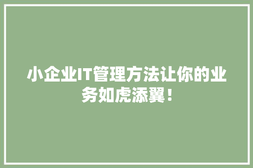 小企业IT管理方法让你的业务如虎添翼！ GoogleSEO
