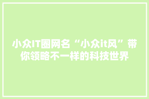 小众IT圈网名“小众it风”带你领略不一样的科技世界 GoogleSEO
