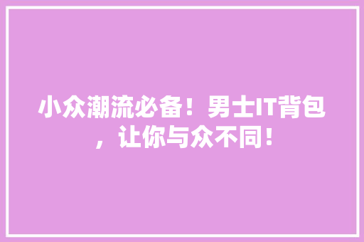 小众潮流必备！男士IT背包，让你与众不同！ 百度SEO