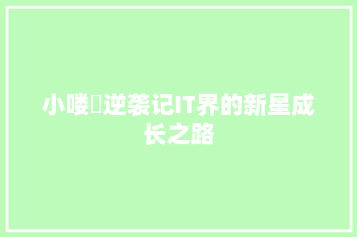 小喽啰逆袭记IT界的新星成长之路 必应SEO