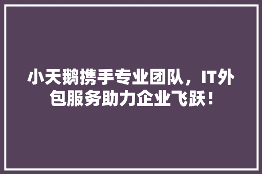 小天鹅携手专业团队，IT外包服务助力企业飞跃！ 必应SEO