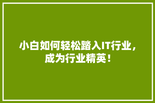 小白如何轻松踏入IT行业，成为行业精英！ 必应SEO