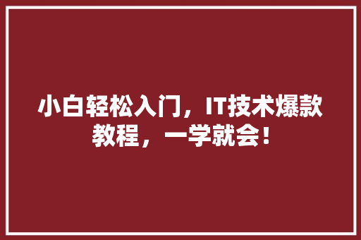 小白轻松入门，IT技术爆款教程，一学就会！ GoogleSEO