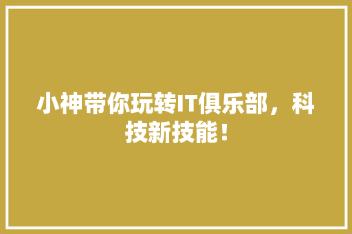 小神带你玩转IT俱乐部，科技新技能！ 必应SEO