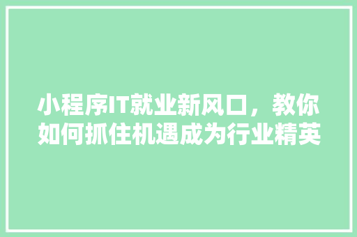 小程序IT就业新风口，教你如何抓住机遇成为行业精英！ 神马SEO