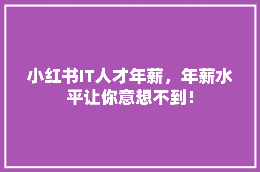 小红书IT人才年薪，年薪水平让你意想不到！ GoogleSEO