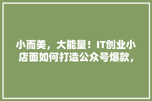 小而美，大能量！IT创业小店面如何打造公众号爆款，轻松吸粉百万！ 搜狗SEO