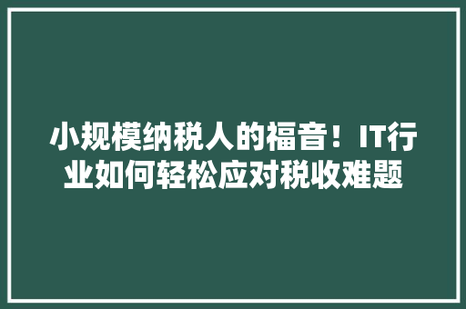 小规模纳税人的福音！IT行业如何轻松应对税收难题 神马SEO