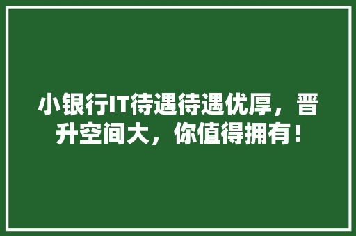 小银行IT待遇待遇优厚，晋升空间大，你值得拥有！ 神马SEO