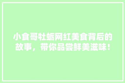 小食哥牡蛎网红美食背后的故事，带你品尝鲜美滋味！ GoogleSEO