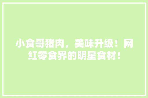 小食哥猪肉，美味升级！网红零食界的明星食材！ 搜狗SEO