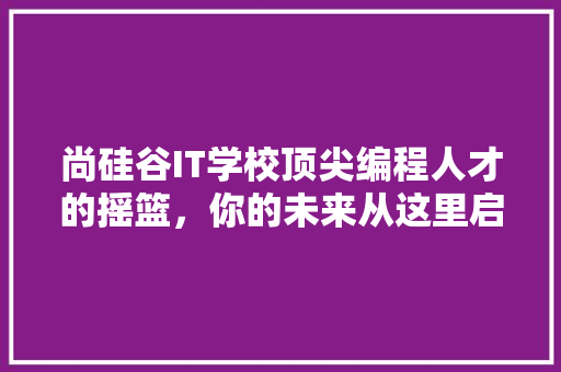 尚硅谷IT学校顶尖编程人才的摇篮，你的未来从这里启航 百度SEO