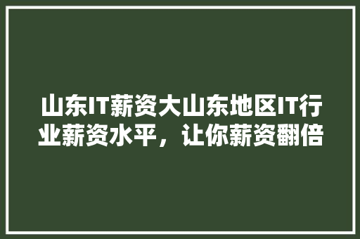 山东IT薪资大山东地区IT行业薪资水平，让你薪资翻倍！ 必应SEO
