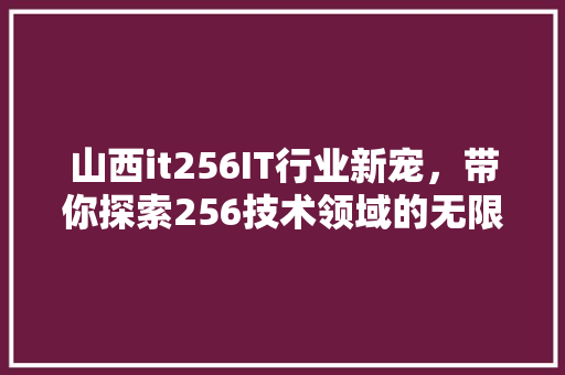 山西it256IT行业新宠，带你探索256技术领域的无限可能！ 百度SEO