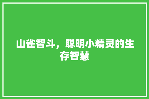 山雀智斗，聪明小精灵的生存智慧 GoogleSEO