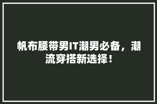 帆布腰带男IT潮男必备，潮流穿搭新选择！ 神马SEO