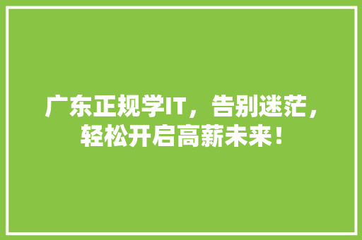 广东正规学IT，告别迷茫，轻松开启高薪未来！ 必应SEO