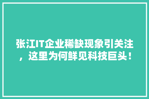 张江IT企业稀缺现象引关注，这里为何鲜见科技巨头！ 必应SEO