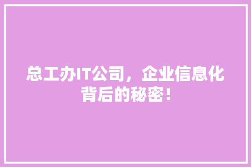 总工办IT公司，企业信息化背后的秘密！ 必应SEO
