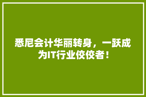 悉尼会计华丽转身，一跃成为IT行业佼佼者！ 神马SEO
