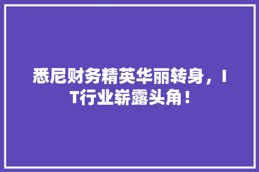 悉尼财务精英华丽转身，IT行业崭露头角！ 必应SEO