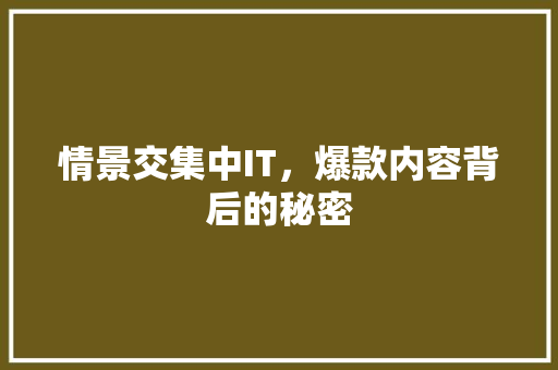 情景交集中IT，爆款内容背后的秘密 必应SEO