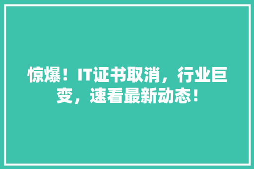 惊爆！IT证书取消，行业巨变，速看最新动态！ GoogleSEO