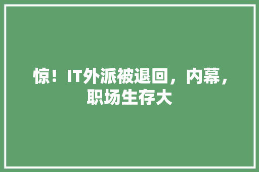 惊！IT外派被退回，内幕，职场生存大