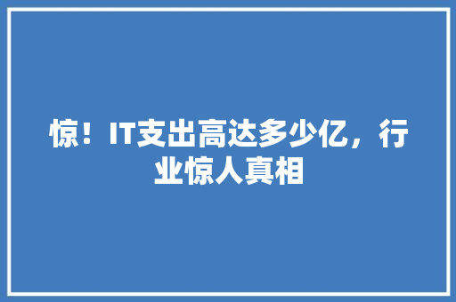 惊！IT支出高达多少亿，行业惊人真相