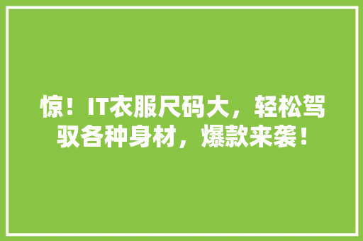 惊！IT衣服尺码大，轻松驾驭各种身材，爆款来袭！ GoogleSEO