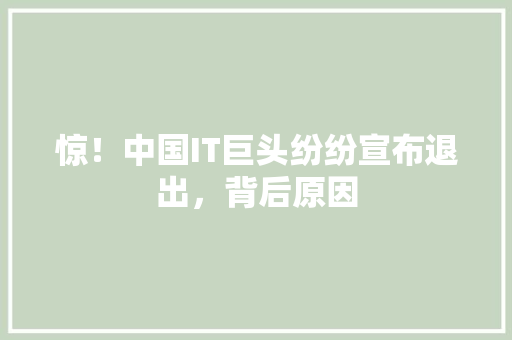 惊！中国IT巨头纷纷宣布退出，背后原因 神马SEO