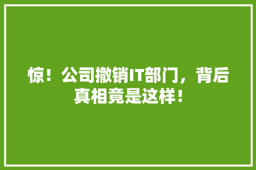 惊！公司撤销IT部门，背后真相竟是这样！ GoogleSEO