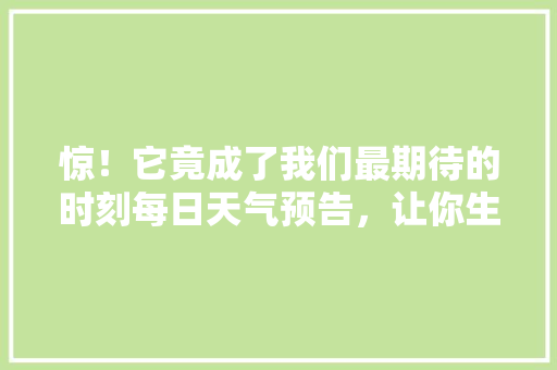 惊！它竟成了我们最期待的时刻每日天气预告，让你生活无忧！ 百度SEO