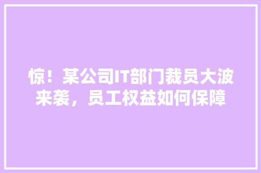 惊！某公司IT部门裁员大波来袭，员工权益如何保障 百度SEO