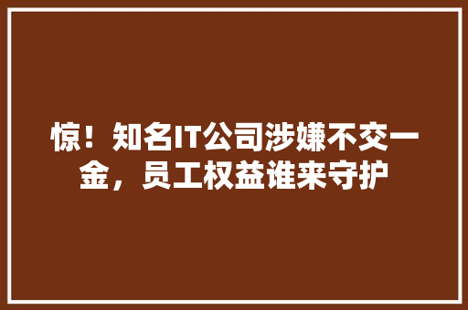 惊！知名IT公司涉嫌不交一金，员工权益谁来守护 百度SEO
