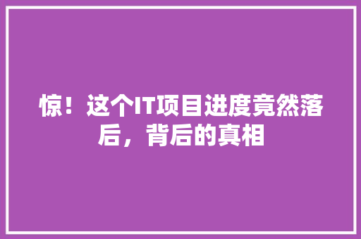 惊！这个IT项目进度竟然落后，背后的真相 神马SEO