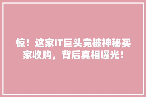 惊！这家IT巨头竟被神秘买家收购，背后真相曝光！ 搜狗SEO