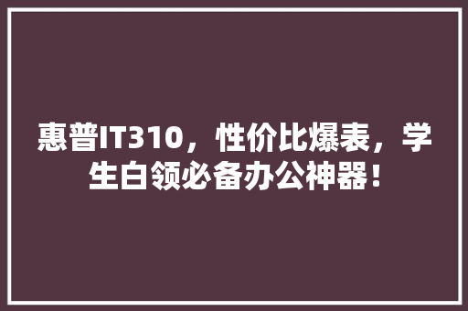 惠普IT310，性价比爆表，学生白领必备办公神器！ 必应SEO