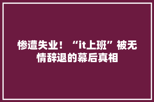 惨遭失业！“it上班”被无情辞退的幕后真相 搜狗SEO