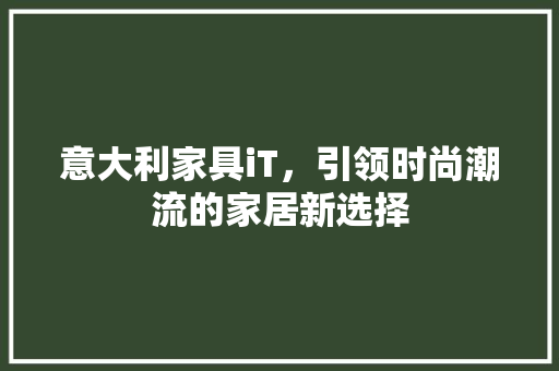 意大利家具iT，引领时尚潮流的家居新选择 神马SEO