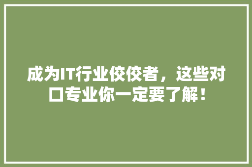 成为IT行业佼佼者，这些对口专业你一定要了解！ 必应SEO