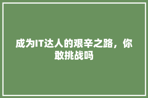 成为IT达人的艰辛之路，你敢挑战吗 GoogleSEO