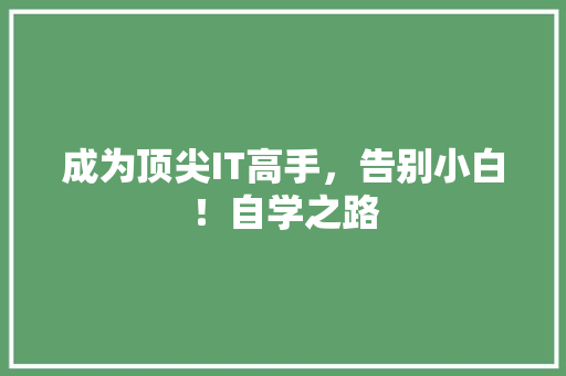 成为顶尖IT高手，告别小白！自学之路 GoogleSEO