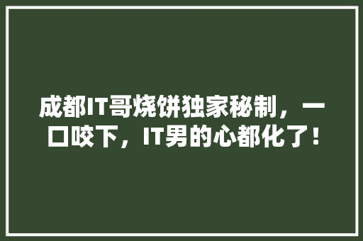 成都IT哥烧饼独家秘制，一口咬下，IT男的心都化了！ 必应SEO