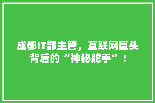 成都IT部主管，互联网巨头背后的“神秘舵手”！ 百度SEO