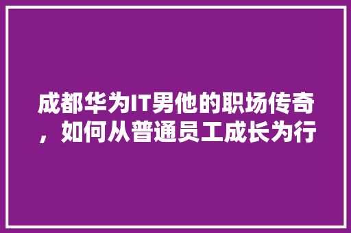 成都华为IT男他的职场传奇，如何从普通员工成长为行业精英！ 百度SEO