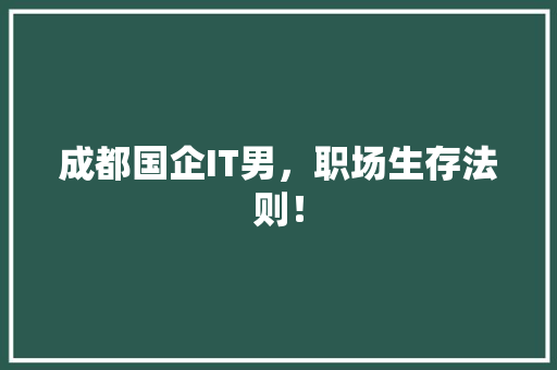 成都国企IT男，职场生存法则！ 搜狗SEO