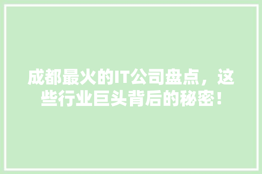 成都最火的IT公司盘点，这些行业巨头背后的秘密！ GoogleSEO